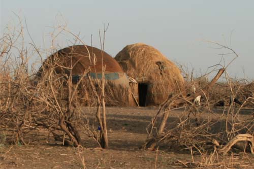 A portable dome-shaped Afar dwelling