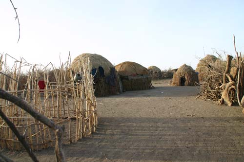 A traditional Afar farmstead